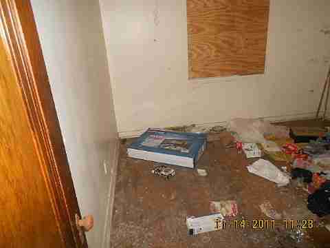 7485 American (21)_m.jpg